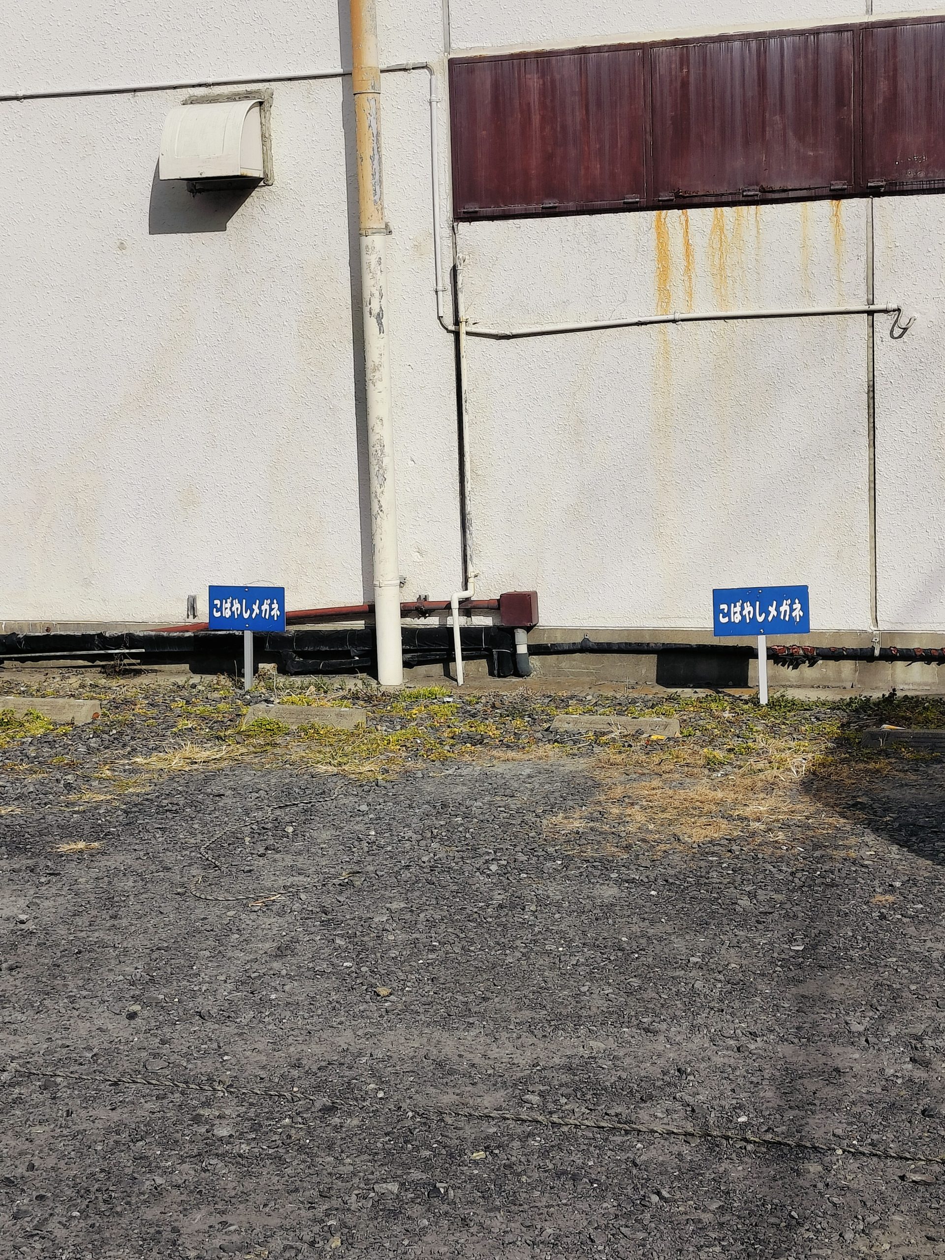 こばやしメガネ補聴器 店舗外観